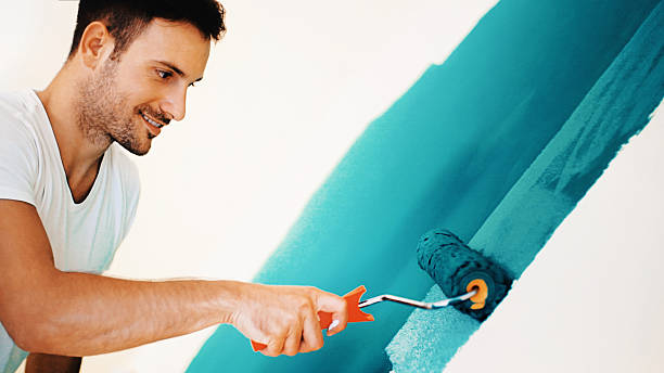 Professional Dry wall and painting in Brigham City, UT